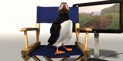 The Adventure of Puffin – Nice Pictures